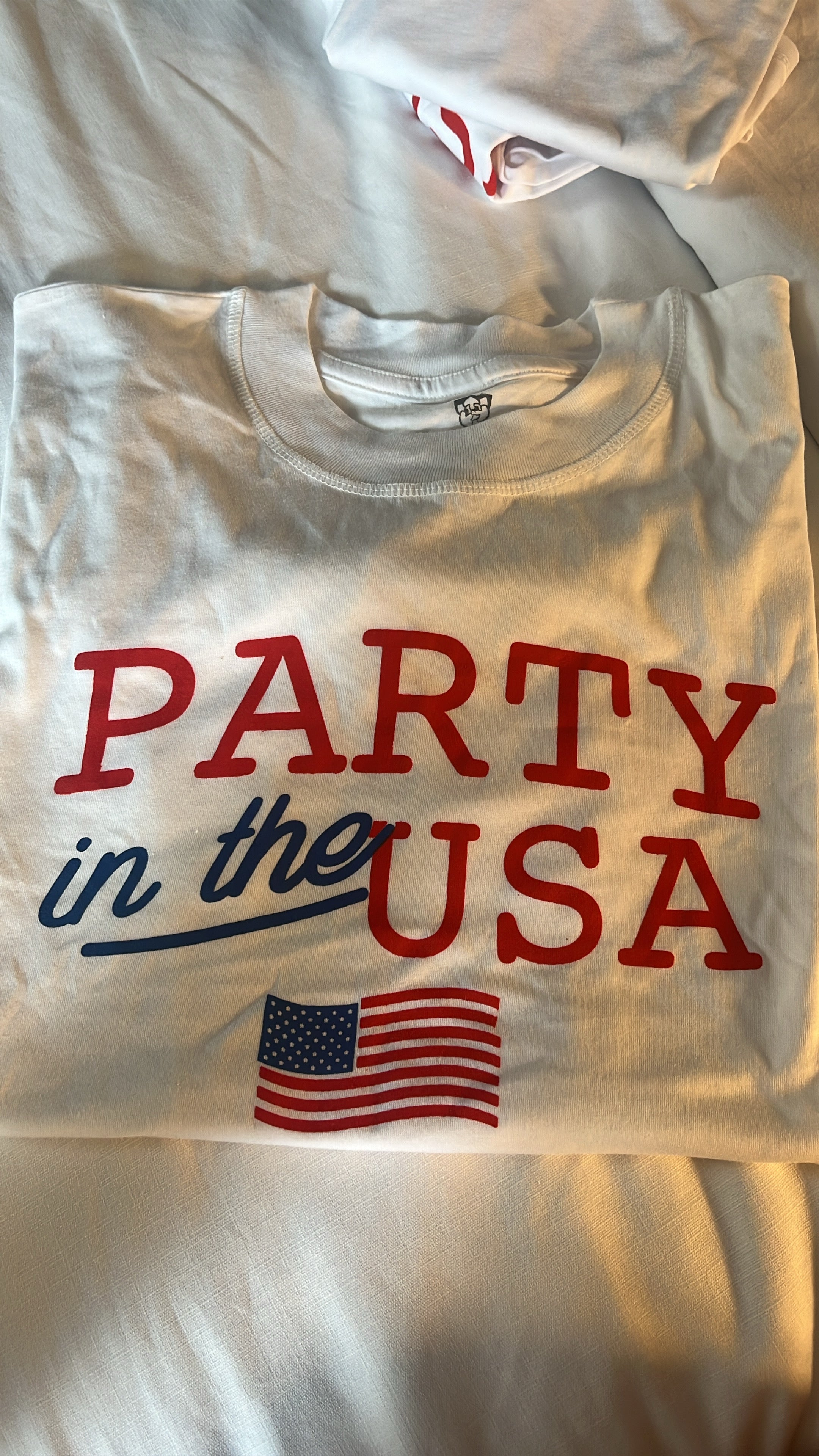 Party in the USA